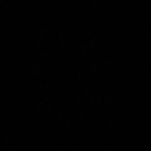 Meet your Posher, Kailee